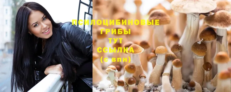 мега ТОР  Ладушкин  Псилоцибиновые грибы MAGIC MUSHROOMS 